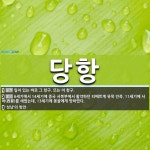 당항 뜻: 일이 있는 바로 그 항구. 또는 이 항구., 6세기에서 14세기에 중국 서북부에서 활약하던 [국어 사전]