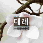 대례 뜻: 규모가 큰 중대한 의식., 혼인을 치르는 큰 예식. [국어 사전]