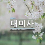 대미사 뜻: 성대하게 지내는 미사.