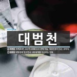 대범천 뜻