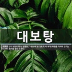 대보탕 뜻: 한약 처방의 하나. 팔물탕(八物湯)에 황기(黃芪)와 육계(肉桂)를 더하여 만드는 탕약으로,