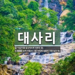 대사리 뜻: ‘다슬기’를 일상적으로 이르는 말., 음력 보름과 그믐 무렵에 밀물이 가장 높은 때. [국어 사전]