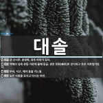 (주)대솔오시스 예당공장 | 대솔 뜻