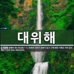 대위해 뜻: 발해의 제14대 왕(?~?). 연호와 시호가 전하지 않고 그에 대한 기록은 거의 없다. 재