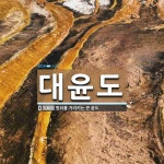 대윤도 뜻: 방위를 가리키는 큰 윤도.