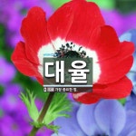 대율 뜻: 가장 중요한 법.