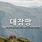 대잠망 뜻