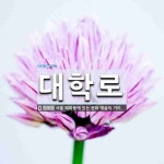 대학로 뜻: 서울 혜화동에 있는 문화 예술의 거리.