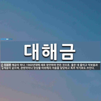 대해금 뜻