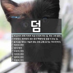 덤 뜻: 제 값어치 외에 거저로 조금 더 얹어 주는 일. 또는 그런 물건., 바둑에서, 맞바둑의 경 [국어 사전]