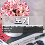 도개 뜻: 질그릇 따위를 만들 때, 그릇의 속을 두드려서 매만지는 데 쓰는 조그마한 방망이., 깨우쳐 [국어 사전]