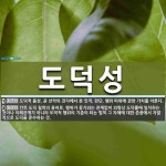 도덕성 뜻