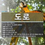 도로 뜻: 향하던 쪽에서 되돌아서., 먼저와 다름없이. 또는 본래의 상태대로., 헛되이 수고함., 걸 [국어 사전]