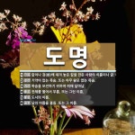 도명 뜻: 칼이나 검(劍)에 새겨 놓은 칼을 만든 사람의 이름이나 글., 기약이 없는 목숨. 또는 아 [국어 사전]