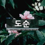 도순 뜻: 각 군영의 순라(巡邏)가 성실히 근무하는지를 조사하던 일.
