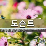 도슨트 뜻·의미 | 국어 사전 | 워드로