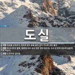 도실 뜻: 칼날을 보호하기 위하여 칼의 몸을 꽂아 넣어 두도록 만든 물건., 복사나무의 열매. 품종에 [국어 사전]