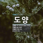 도양 뜻