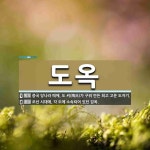 도옥 뜻: 중국 당나라 때에, 도 씨(陶氏)가 구워 만든 희고 고운 도자기., 조선 시대에, 각 도에 [국어 사전]