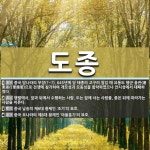 도종 뜻: 중국 당나라의 무장(?~?). 645년에 당 태종의 고구려 침입 때 요동도 행군 총관(遼東 [국어 사전]