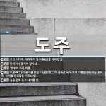 , ‘범여’의 [국어 사전] 도주 뜻: 조선 시대에, 대마도의 영주(領主)를 이르던 말., 피하거나 쫓기어 달아남., ‘범여’의  [국어 사전]
