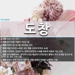 도창 뜻: 칼에 다친 상처., 칼과 창을 아울러 이르는 말., 절에서 쌀 창고를 관리하는 임무., 배 [국어 사전]