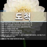도척 뜻: 포목을 마르고 잰다는 뜻으로, 의복의 재봉을 이르는 말., 사람의 진퇴(進退), 임면(任免 [국어 사전]