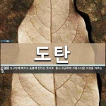 도탄 뜻: 진구렁에 빠지고 숯불에 탄다는 뜻으로, 몹시 곤궁하여 고통스러운 지경을 이르는 말.