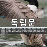 독립문 뜻: 서울특별시 서대문구 현저동에 있는 돌문. 서재필을 중심으로 한 독립 협회가 우리나라의 영구