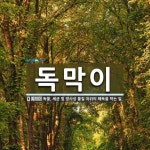 독막이 뜻: 독물, 세균 및 방사성 물질 따위의 해독을 막는 일.