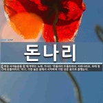 돈나리 뜻: 북청 사자놀음을 할 때 부르는 노래. 가사는 “돈돌라리 돈돌라리라. 리라나리요. 모래 청산