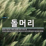 돌머리 뜻: 몹시 어리석은 사람의 머리를 낮잡아 이르는 말., 땅이나 물에 있는 돌 가운데서 물에 잠기 [국어 사전]