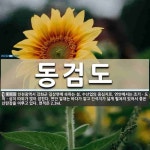 동검도 뜻: 인천광역시 강화군 길상면에 속하는 섬. 수산업의 중심지로, 연안에서는 조기ㆍ도미ㆍ삼치 따위