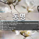 동명 뜻: 같은 이름. 또는 이름이 서로 같음., 고구려 때에, 해마다... [국어 사전] 동명 뜻: 같은 이름. 또는 이름이 서로 같음., 고구려 때에... 