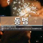 동범 뜻: 같은 주형(鑄型)으로 만듦., 어떤 논밭이 그보다 앞 번호인 논밭의 동쪽에 있다는 뜻으로, [국어 사전]