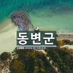 동변군 뜻: 내의원에 속한 사내아이 종.