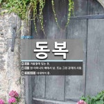 동복 뜻: 겨울철에 입는 옷., 한 어머니의 배에서 남. 또는 그런 관계의 사람., 사내아이 종. [국어 사전]