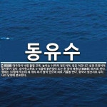 동유수 뜻