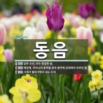 동음 뜻: 같은 소리. 또는 동일한 음., 예전에, 우리나라 음악을 중국 음악에 상대하여 이르던 말. [국어 사전]