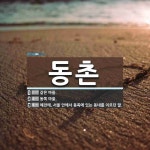 동촌 뜻: 같은 마을., 동쪽 마을., 예전에, 서울 안에서 동쪽에 있는 동네를 이르던 말. [국어 사전]