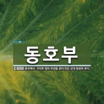동호부 뜻