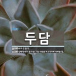 두담 뜻: 매우 큰 쓸개., 담력이 매우 큼 또는 그런 사람을 비유적으로 이르는 말. [국어 사전]