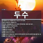두수 뜻