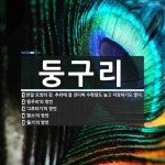 둥구리 뜻: 반달 모양의 감. 추위에 잘 견디며 수확량도 높고 저장하기도... , ‘둥우리’의 방언, [국어 사전] 둥구리 뜻: 반달 모양의 감. 추위에 잘... 