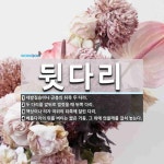 뒷다리 뜻: 네발짐승이나 곤충의 뒤쪽 두 다리., 두 다리를 앞뒤로 벌렸을 때 뒤쪽 다리., 책상이나 [국어 사전] 뒷다리 뜻: 네발짐승이나 곤충의... 