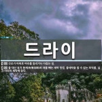 드라이 뜻