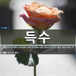 득수 뜻: 풍수지리에서, 묘지에서 보아 산속에서 나와 산속으로 흐르는 물이 처음 보이는 지점., ‘몫 [국어 사전]