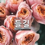 들길 뜻: 들에 난 길.