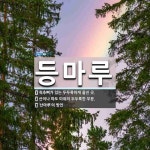 등마루 뜻: 척추뼈가 있는 두두룩하게 줄진 곳., 산이나 파도 따위의 두두룩한 부분., ‘산마루’의 방 [국어 사전]