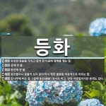 등화 뜻: 완전한 암술을 가지고 꽃이 핀 다음에 열매를 맺는 꽃., 등에 켠 불., 등잔에 켠 불., [국어 사전]